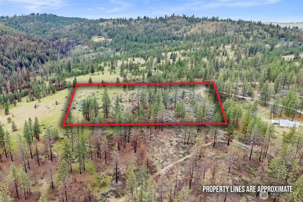 36480 Western Pines Drive Davenport, WA 99122