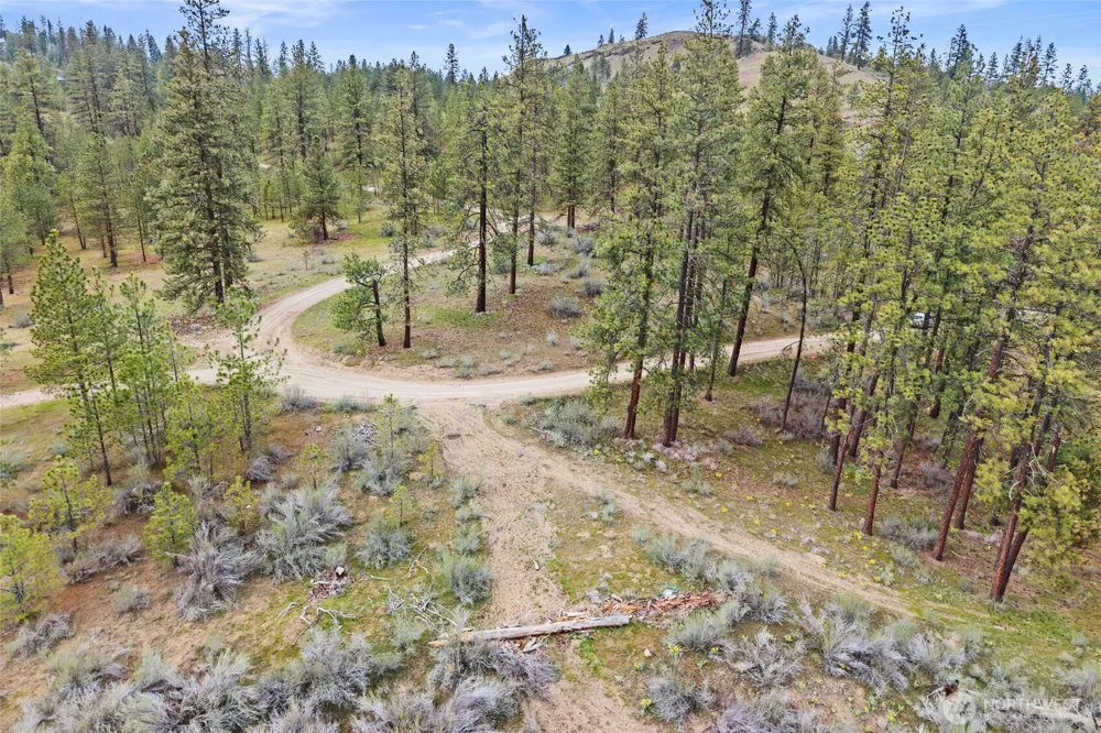 36480 Western Pines Drive Davenport, WA 99122