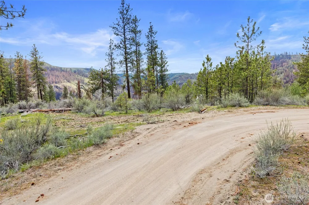 36480 Western Pines Drive Davenport, WA 99122