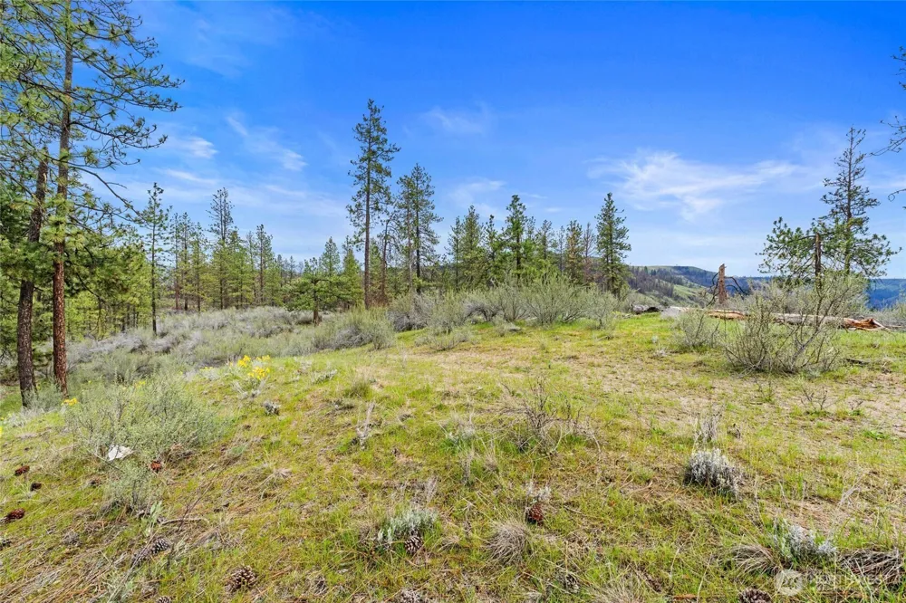 36480 Western Pines Drive Davenport, WA 99122