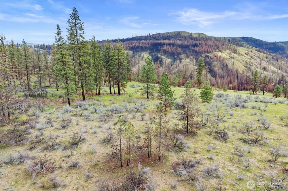 36480 Western Pines Drive Davenport, WA 99122
