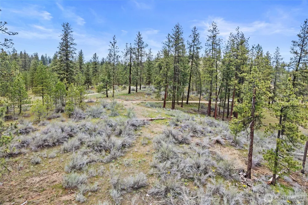 36480 Western Pines Drive Davenport, WA 99122