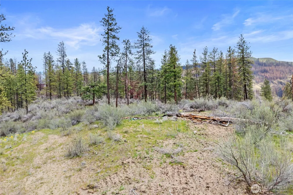 36480 Western Pines Drive Davenport, WA 99122