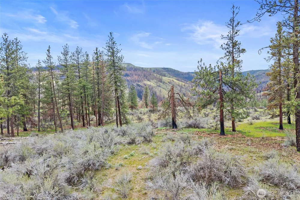 36480 Western Pines Drive Davenport, WA 99122