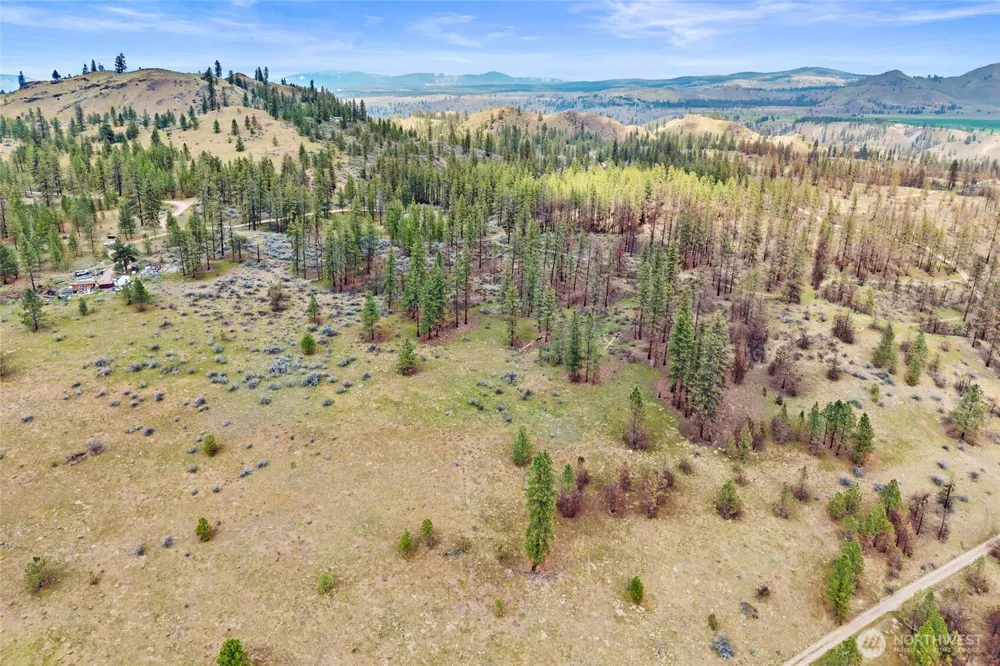 36480 Western Pines Drive Davenport, WA 99122