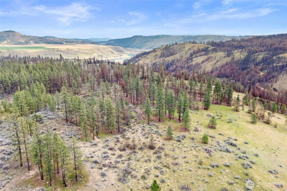 36480 Western Pines Drive Davenport, WA 99122