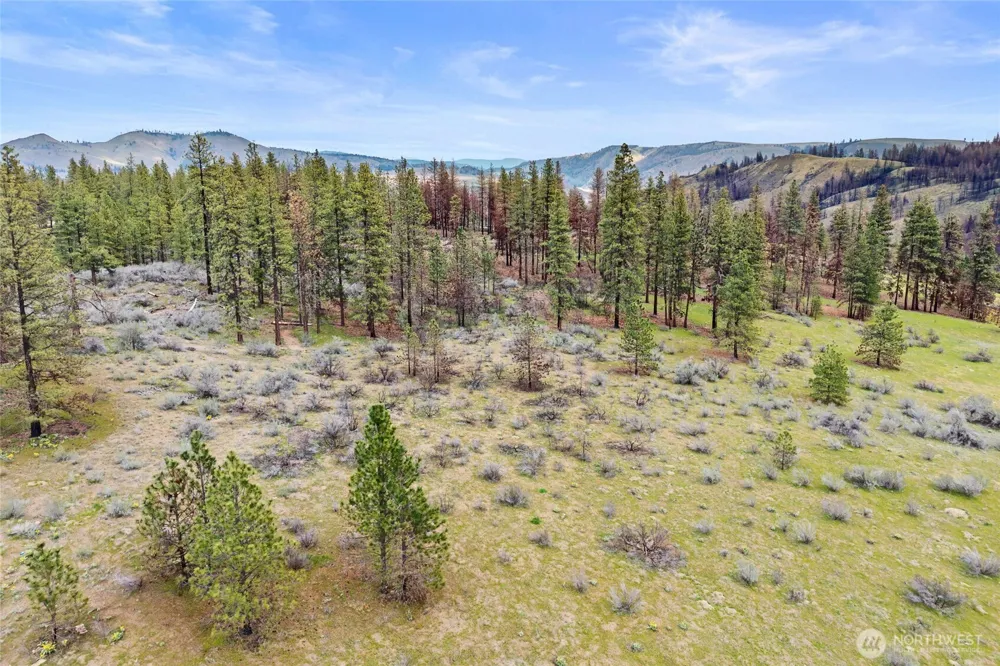 36480 Western Pines Drive Davenport, WA 99122