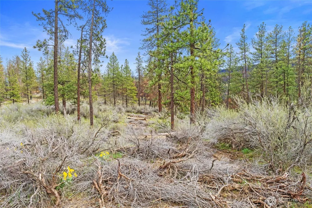 36480 Western Pines Drive Davenport, WA 99122