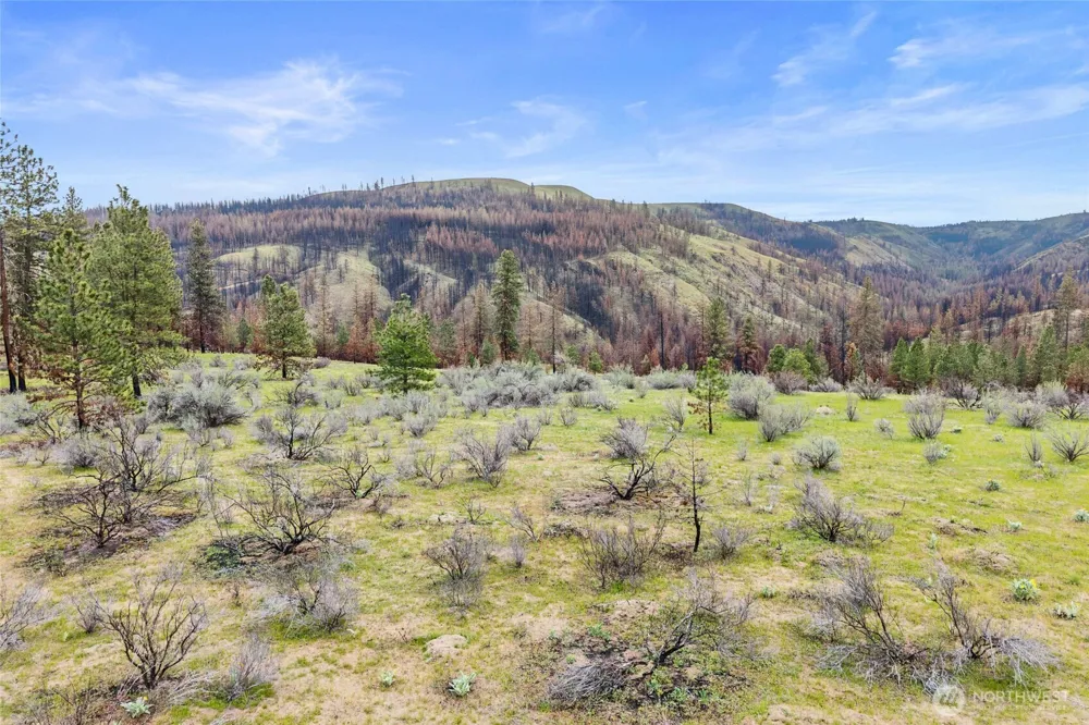 36480 Western Pines Drive Davenport, WA 99122