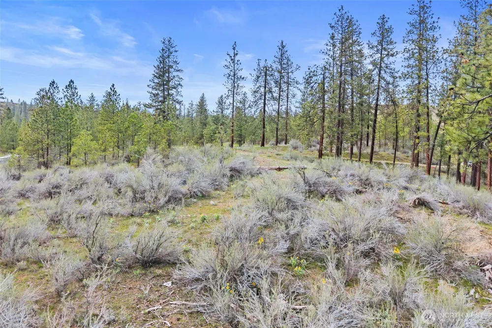 36480 Western Pines Drive Davenport, WA 99122
