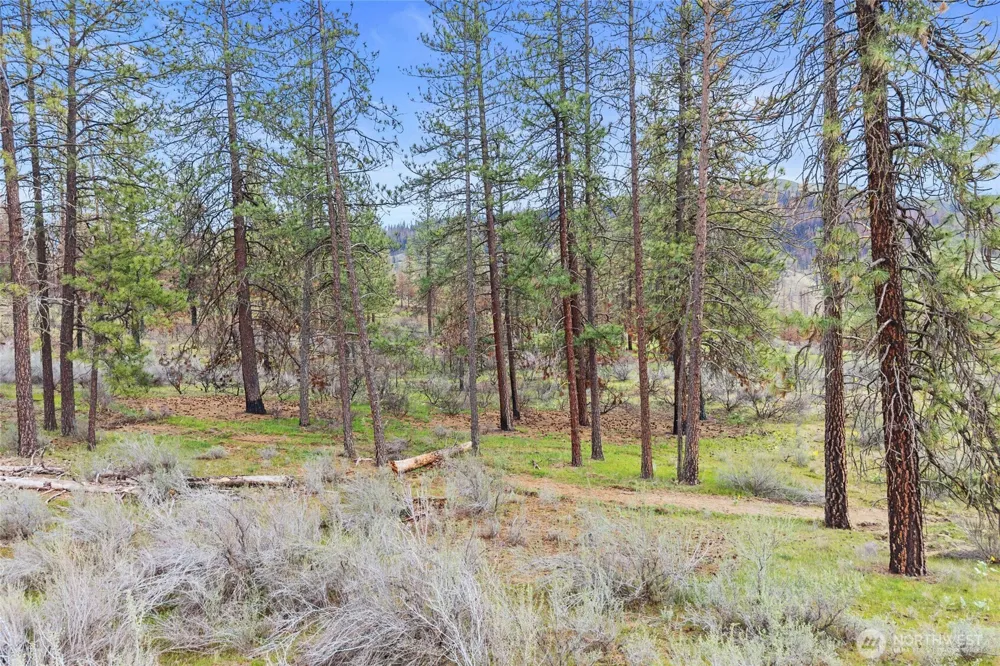 36480 Western Pines Drive Davenport, WA 99122