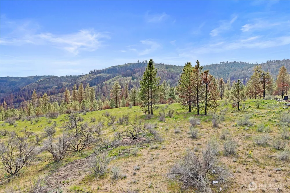 36480 Western Pines Drive Davenport, WA 99122
