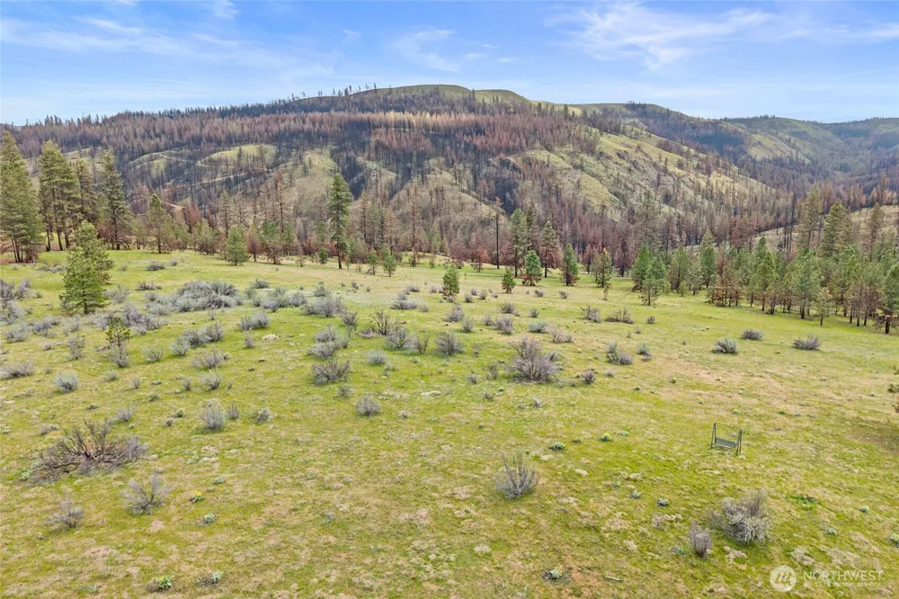 36480 Western Pines Drive Davenport, WA 99122