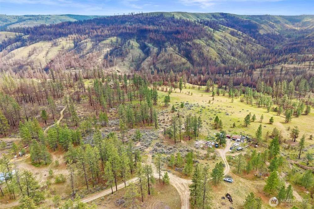 36480 Western Pines Drive Davenport, WA 99122