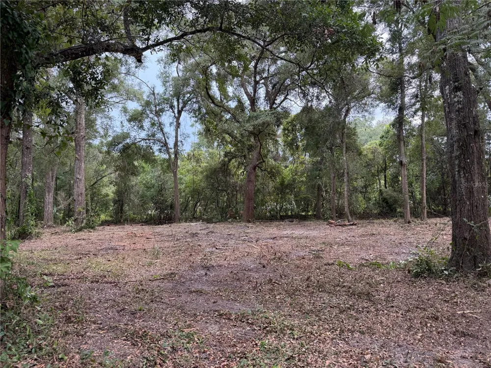 1410 NW 10TH STREET Chiefland, FL 32626