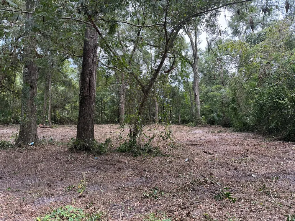 1410 NW 10TH STREET Chiefland, FL 32626