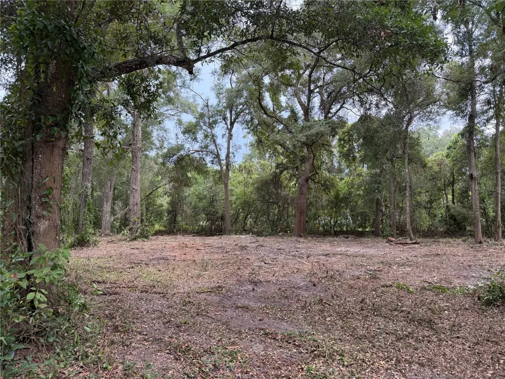 1410 NW 10TH STREET Chiefland, FL 32626
