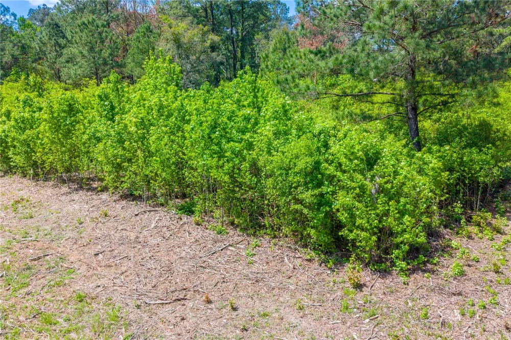 5781 SW 91ST PLACE Lake Butler, FL 32054