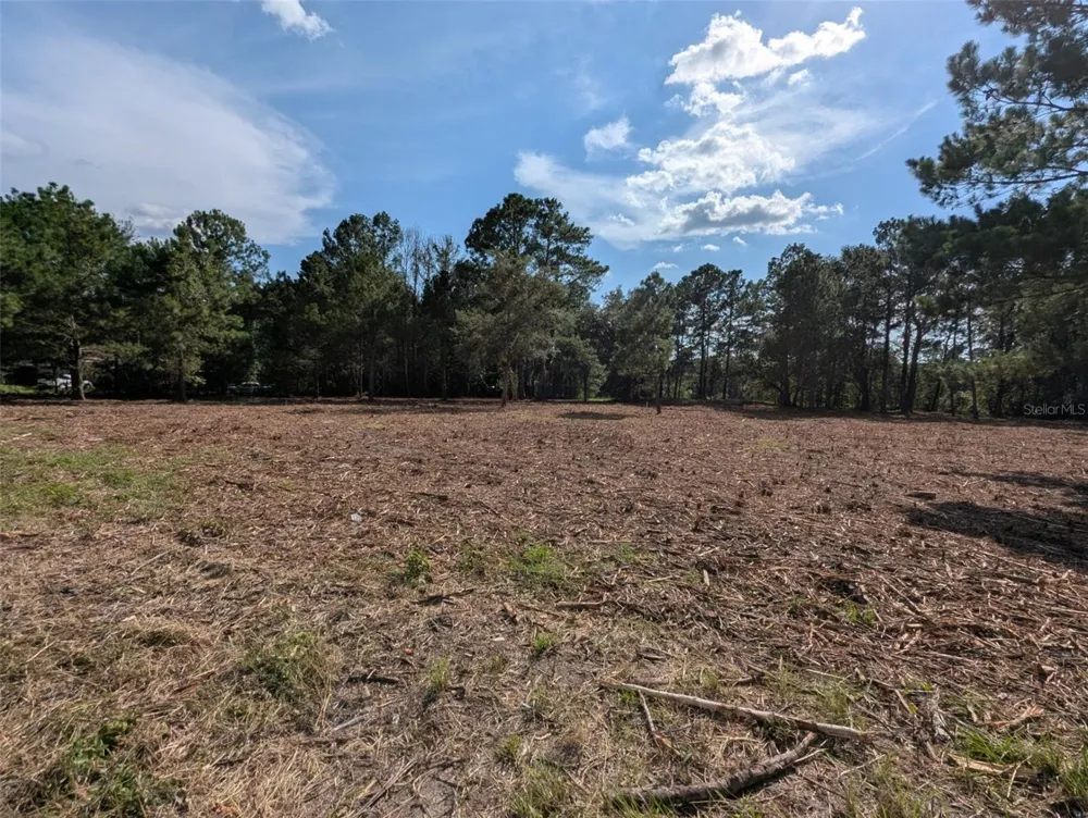 5781 SW 91ST PLACE Lake Butler, FL 32054