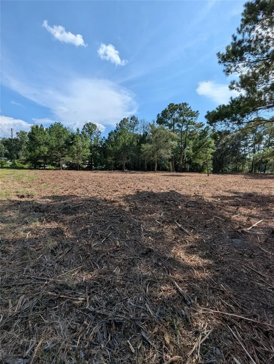 5781 SW 91ST PLACE Lake Butler, FL 32054