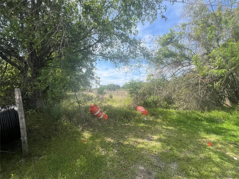 0 REE LANE Kissimmee, FL 34741