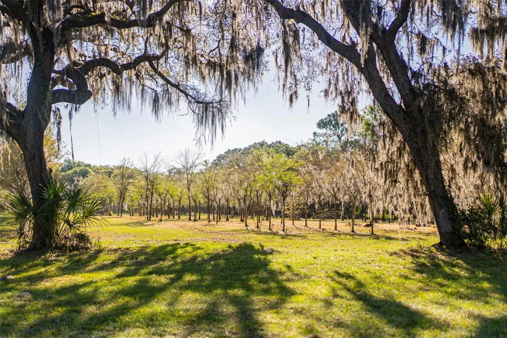 280 CAMPBELL RANCH RUN Geneva, FL 32732