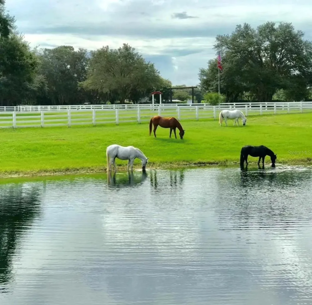 280 CAMPBELL RANCH RUN Geneva, FL 32732