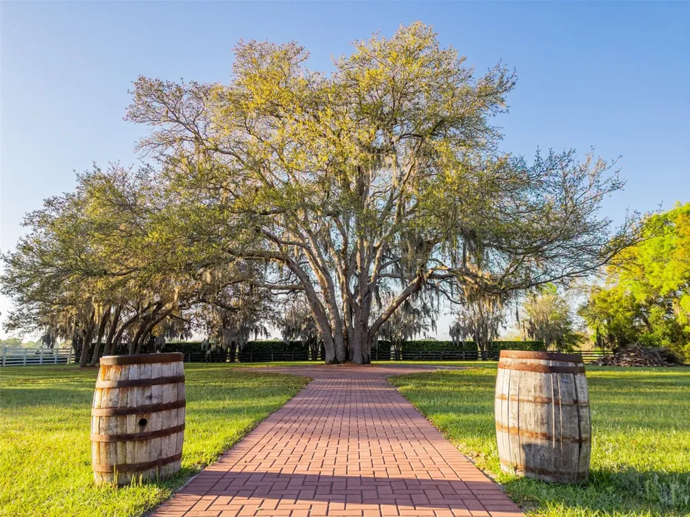 280 CAMPBELL RANCH RUN Geneva, FL 32732