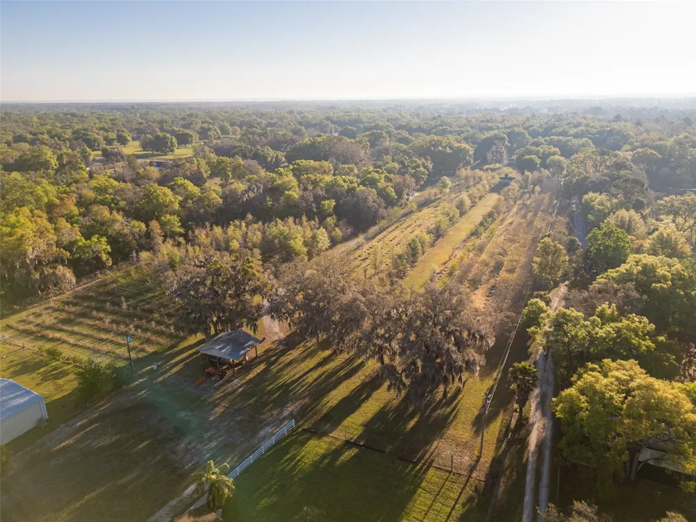 280 CAMPBELL RANCH RUN Geneva, FL 32732