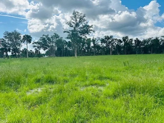 17450 SE HIGHWAY 19 Cross City, FL 32628