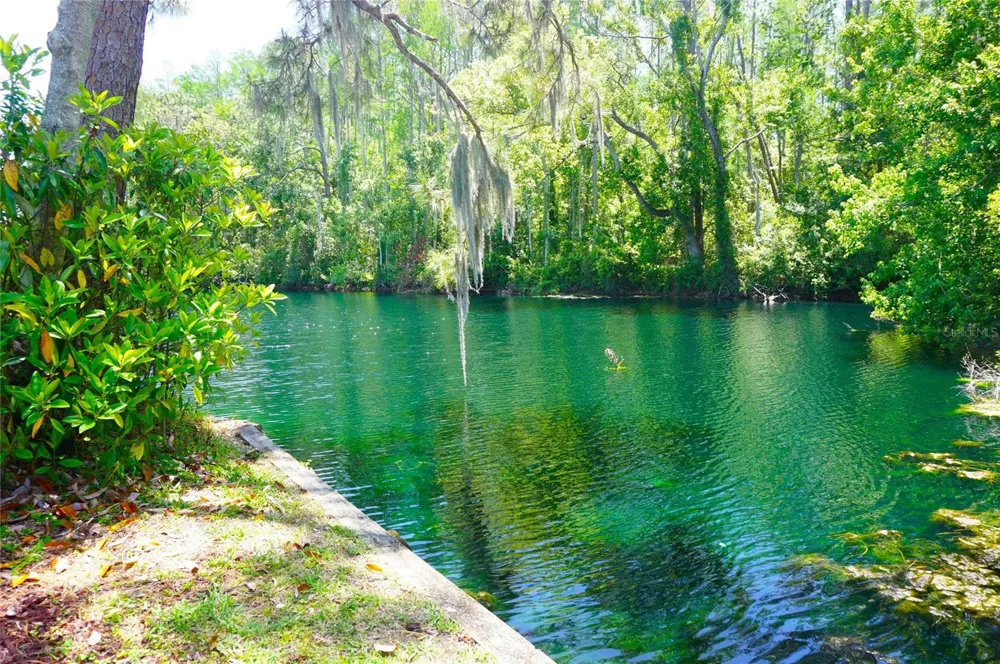 1873 MAZO MANOR #T9 Lutz, FL 33558