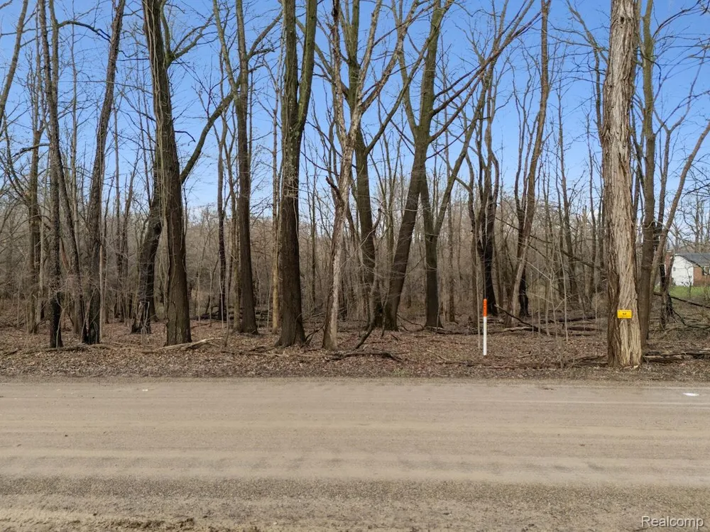 Pingree Road Marion Township, MI 48843