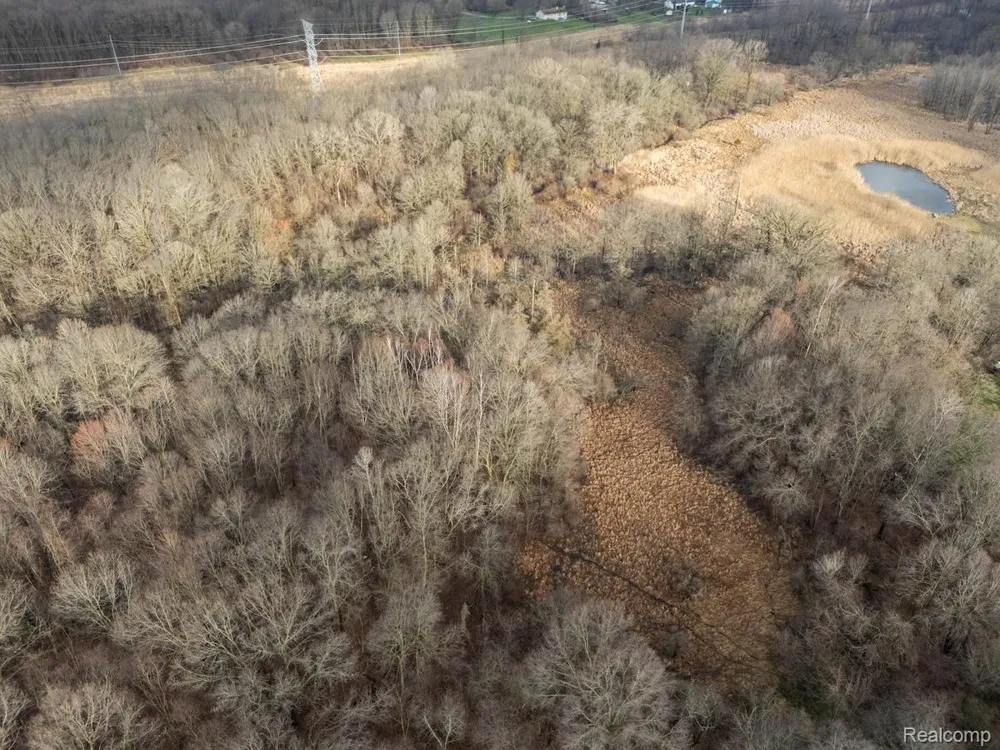 Pingree Road Marion Township, MI 48843