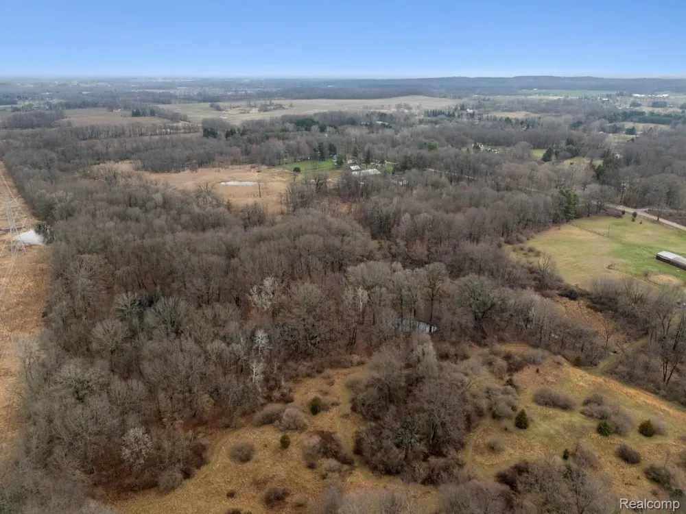 Pingree Road Marion Township, MI 48843
