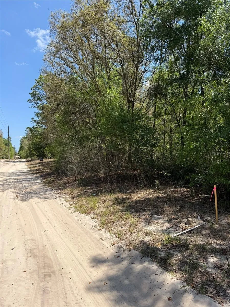 NE 118TH LANE Bronson, FL 32621