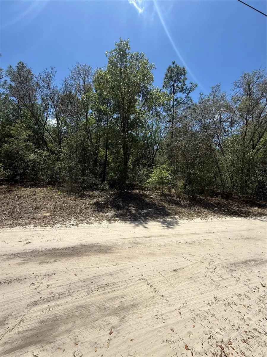 NE 118TH LANE Bronson, FL 32621