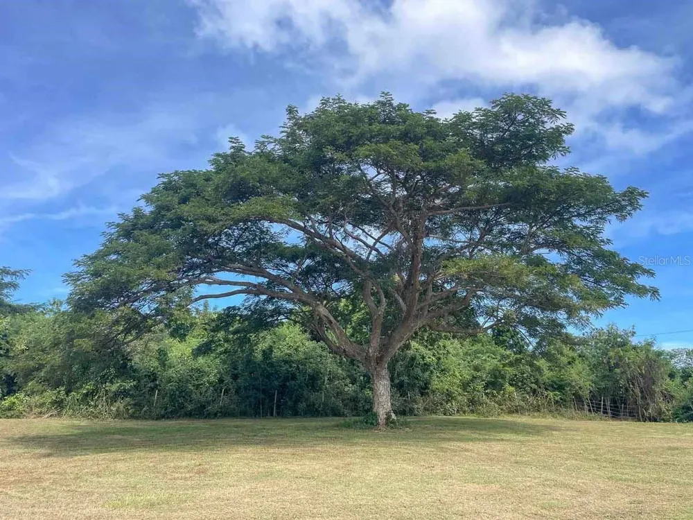 37 HIDEAWAY LANE Vieques, PR 00765