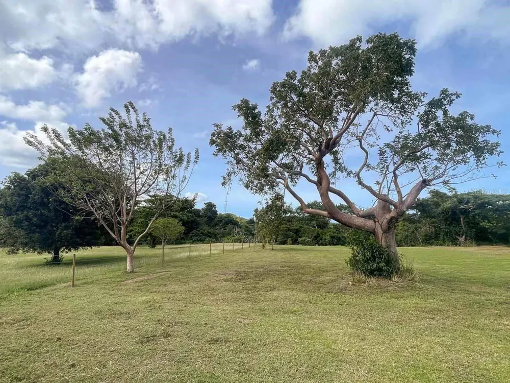 37 HIDEAWAY LANE Vieques, PR 00765