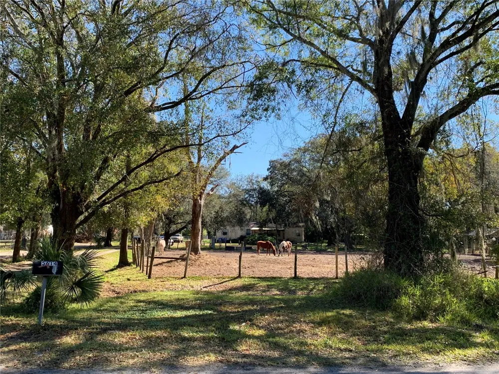 5614 WATSON ROAD Riverview, FL 33578