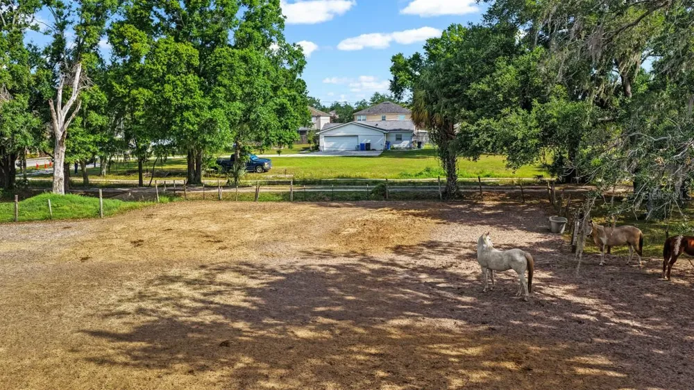 5614 WATSON ROAD Riverview, FL 33578