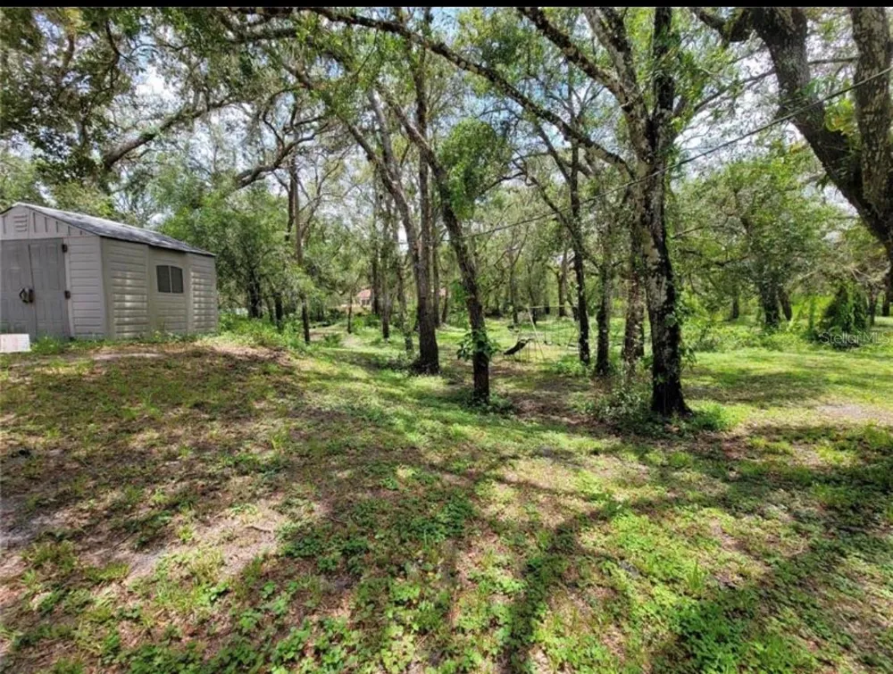 36564 SINGLETARY ROAD Myakka City, FL 34251