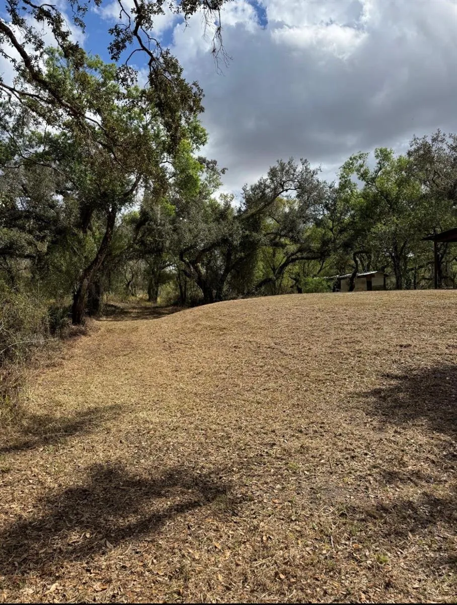 36564 SINGLETARY ROAD Myakka City, FL 34251