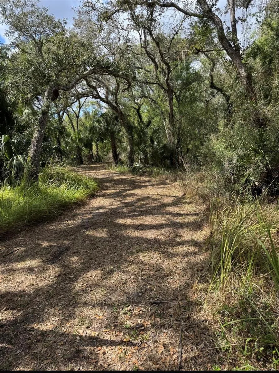 36564 SINGLETARY ROAD Myakka City, FL 34251