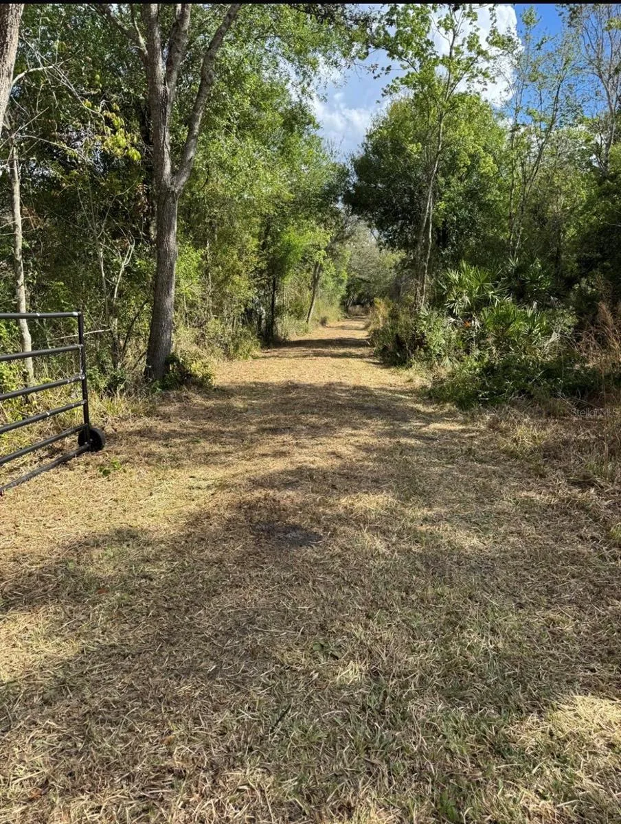 36564 SINGLETARY ROAD Myakka City, FL 34251
