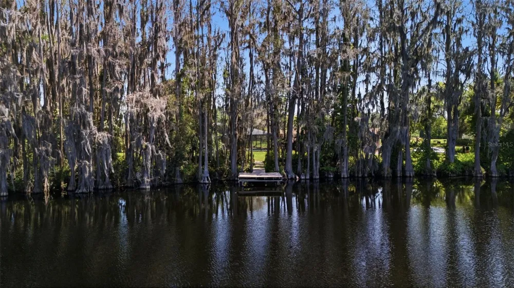 820 NEWBERGER ROAD Lutz, FL 33549