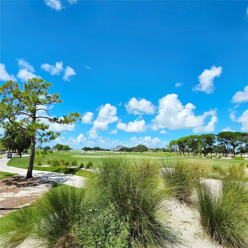 1304 INDIAN ROCKS ROAD Belleair, FL 33756