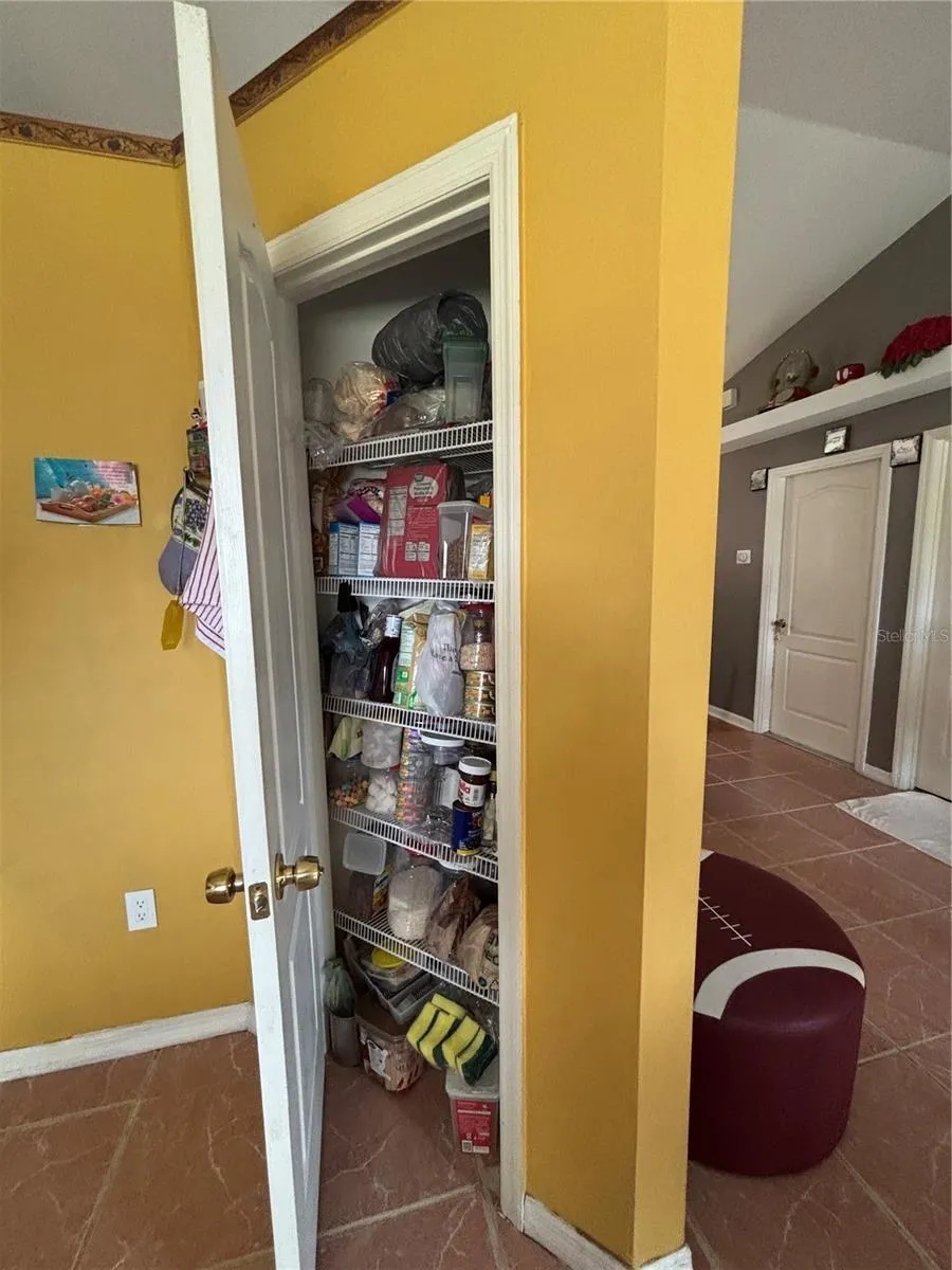 4250 WORTHINGTON PLACE Mascotte, FL 34753