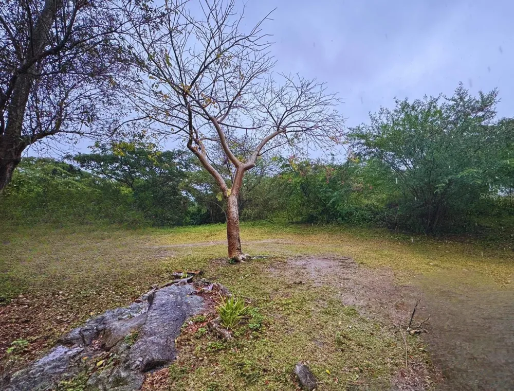 Calle #10 COMM MONTE SANTO P-2 Vieques, PR 00765