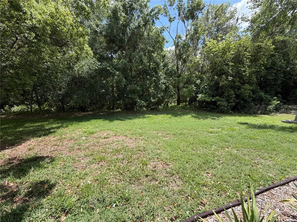 1616 KINSMERE DRIVE Trinity, FL 34655