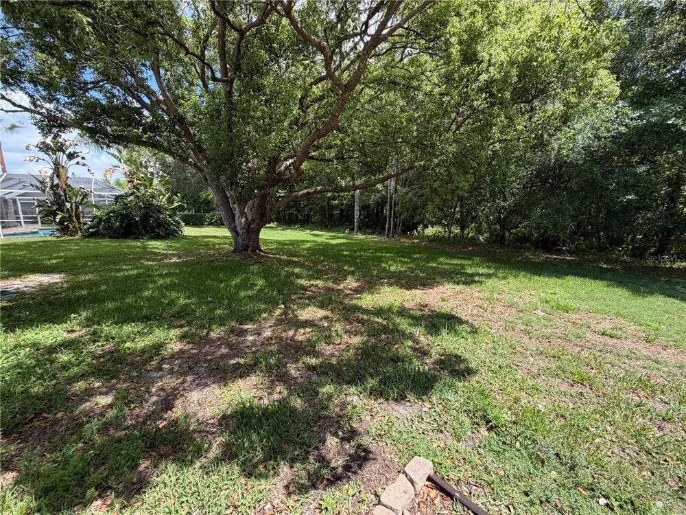 1616 KINSMERE DRIVE Trinity, FL 34655